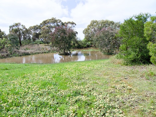 creek photo